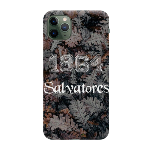 Cover The Vampire Diaries