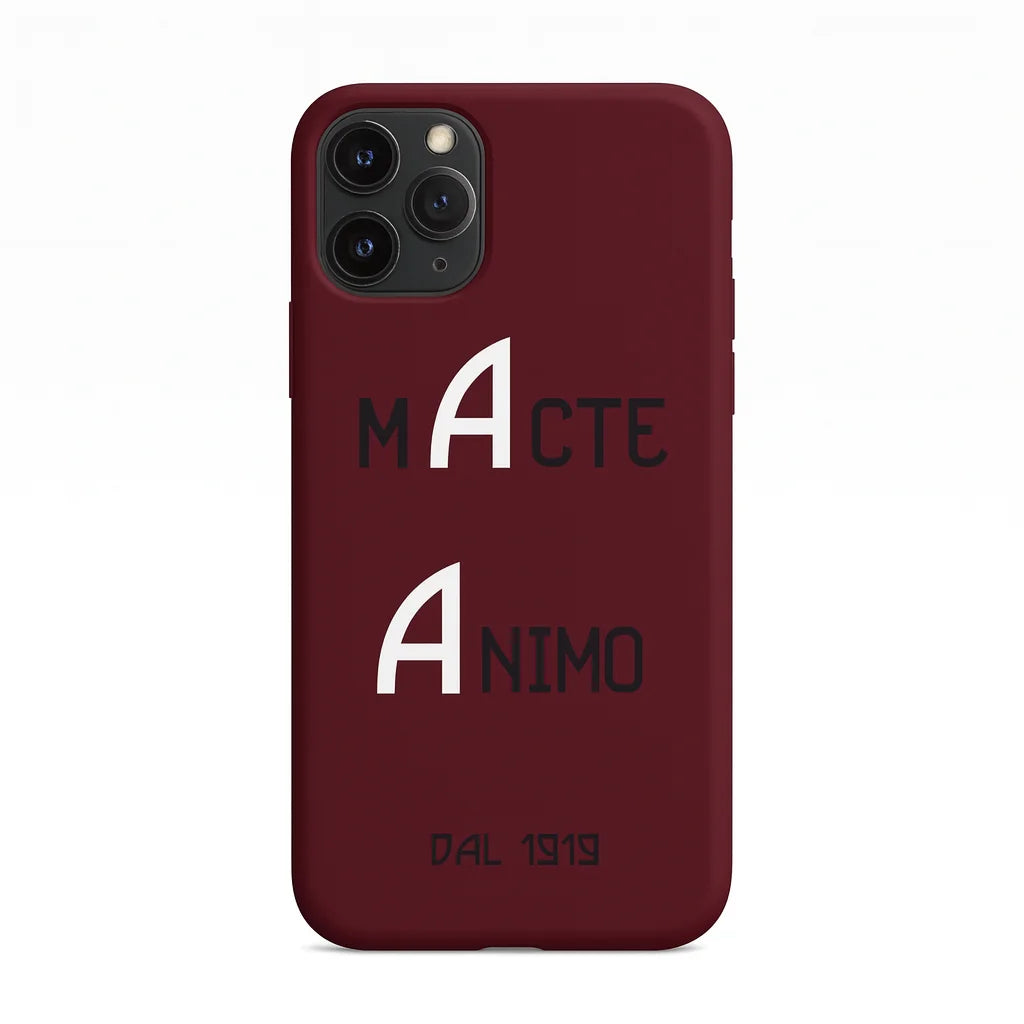 Cover Salerno Calcio